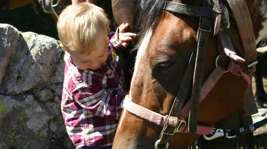 colter and co. 023.jpg