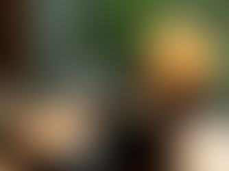 Mastering Traditional Matcha Preparation