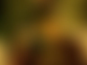 Donne (dal punto di vista di un ragazzo)