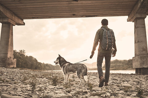 Man and His Dog_edited_edited.jpg