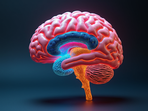 Exploring the Triune Brain Model in MedYoga Therapy for Mental Health and Chronic Pain Relief