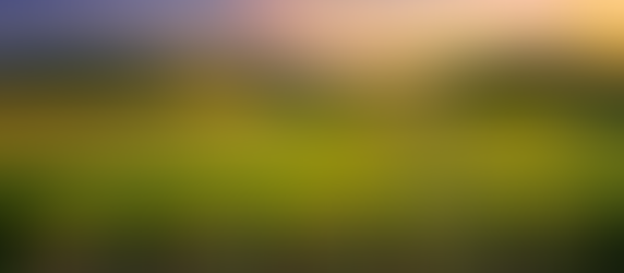 Great Tips for Planning your Margaret River Wedding