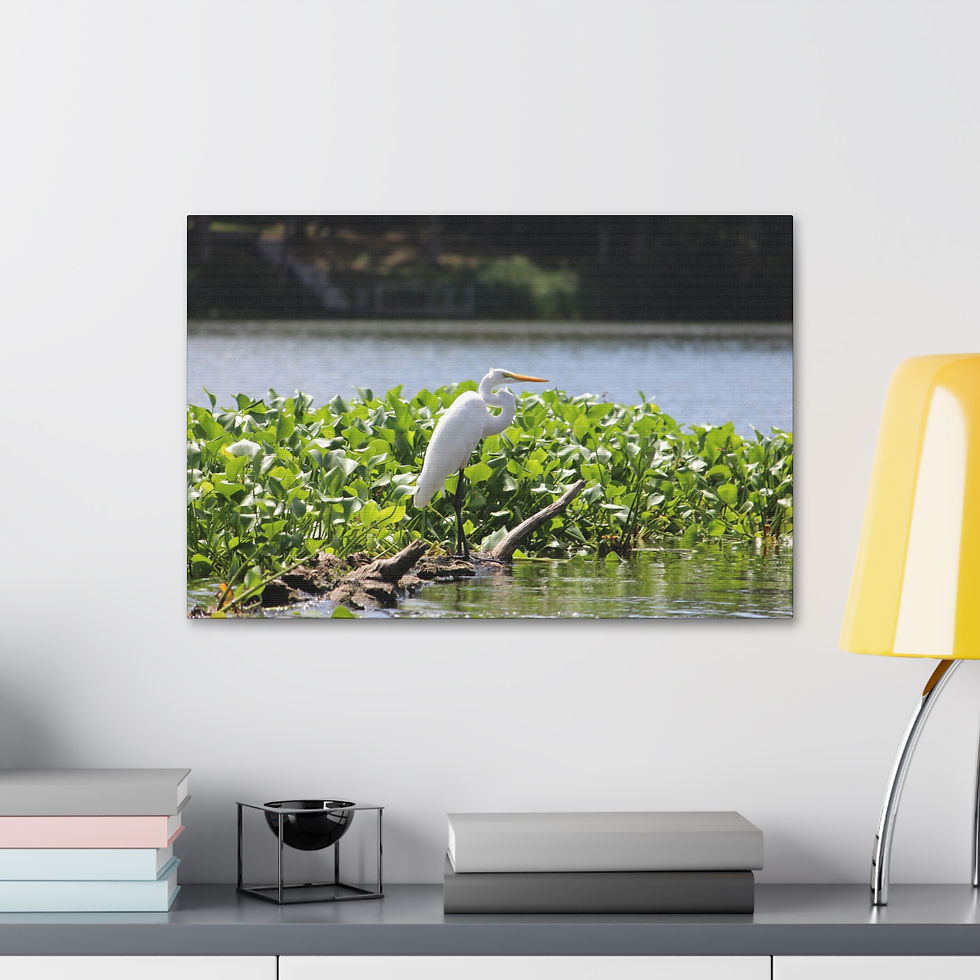 Thumbnail: Grace in White - Bird Wall Art, Canvas