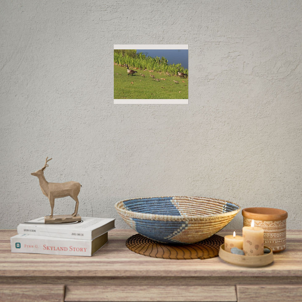 Thumbnail: Guided by Love - Bird Wall Art, Poster