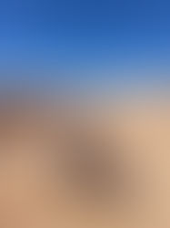 Auf dem Drahtesel durch die Wüste