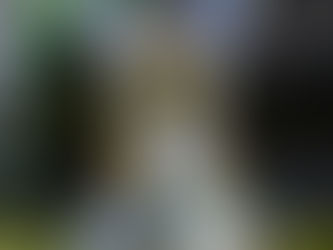 A Intertemporada do Brasileirão