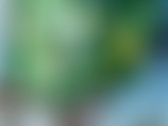 Bandeira do Brasil com sinal de interrogação