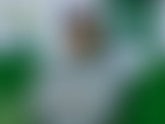 Abel Ferreira é um treinador diferenciado