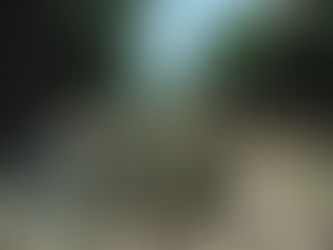 Intertextuality -Research-