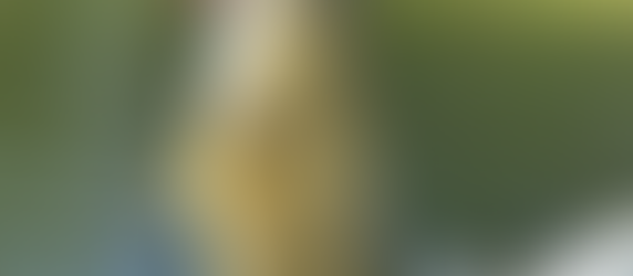 Seasickness in Georgian Bay to Parry Sound (#33)