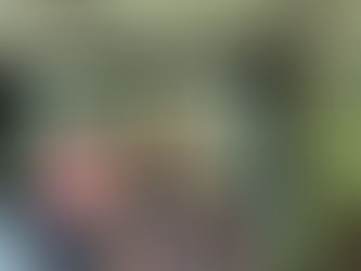 Jaunty Cars, Estates, & Views in Killarney (#4)