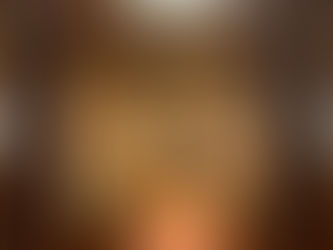 Hamburg City Hall and Wash (Visit 2) (#51)