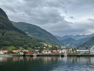 Rail and Fjords in Bergen (#46)