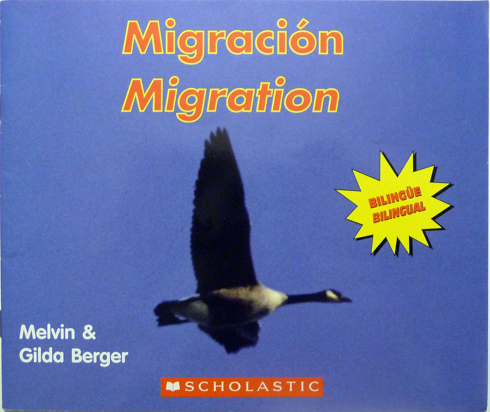 Migración/Migration