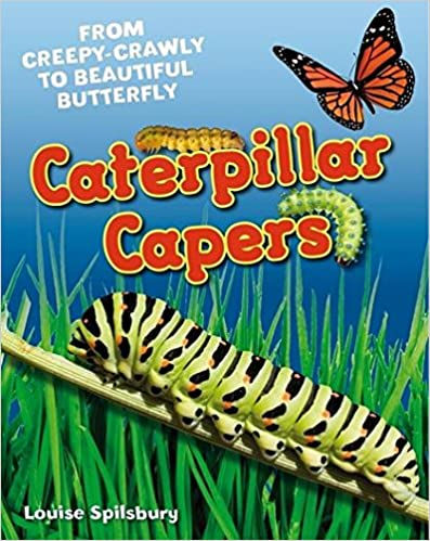 Caterpillar Capers (Pasta blanda)