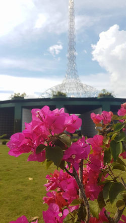 SKYLINE GARDEN COLUMBARY
