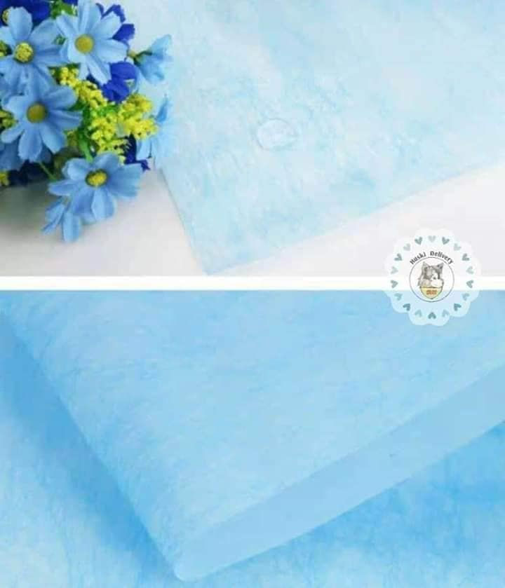Thumbnail: DISPOSABLE SALON BED SHEET