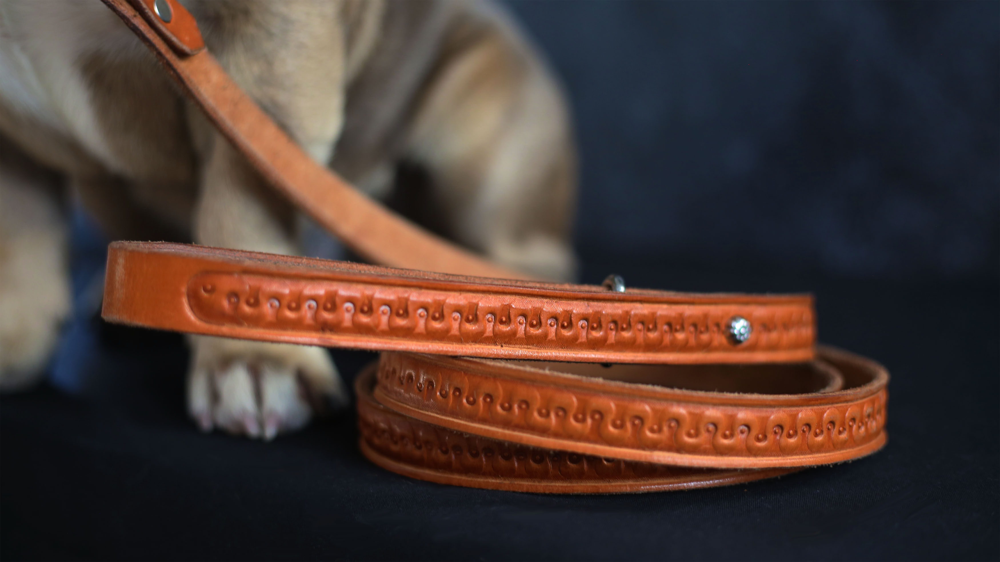 The Ferdi | Dog Leash