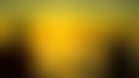 The 3 different types of spiritual seekers