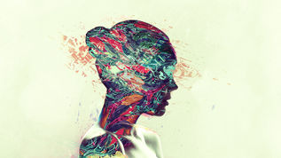 Your Internal World and External Reality