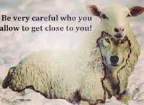 The Narcissist Under Sheep’s Clothing