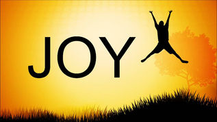 Following your joy