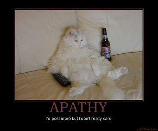 Doubt, Apathy and Boredom