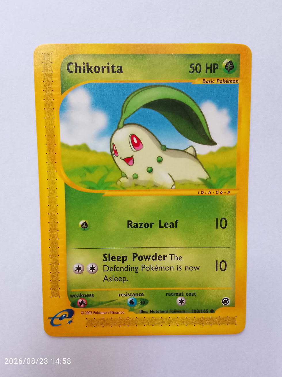 Chikorita #100 Pokemon Expedition