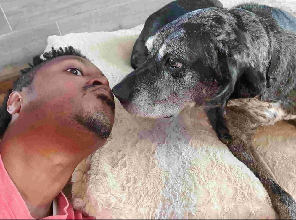 My Trusted Housesitter Watching my house and dog Whoopi