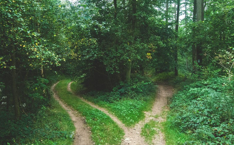 Choosing A Local vs. Toll-Free Phone Number. Which One is Right For You?