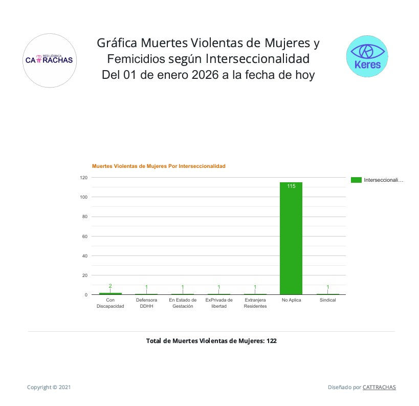Muertes Violentas de Mujeres y Femicidios por Interseccionalidad 2026