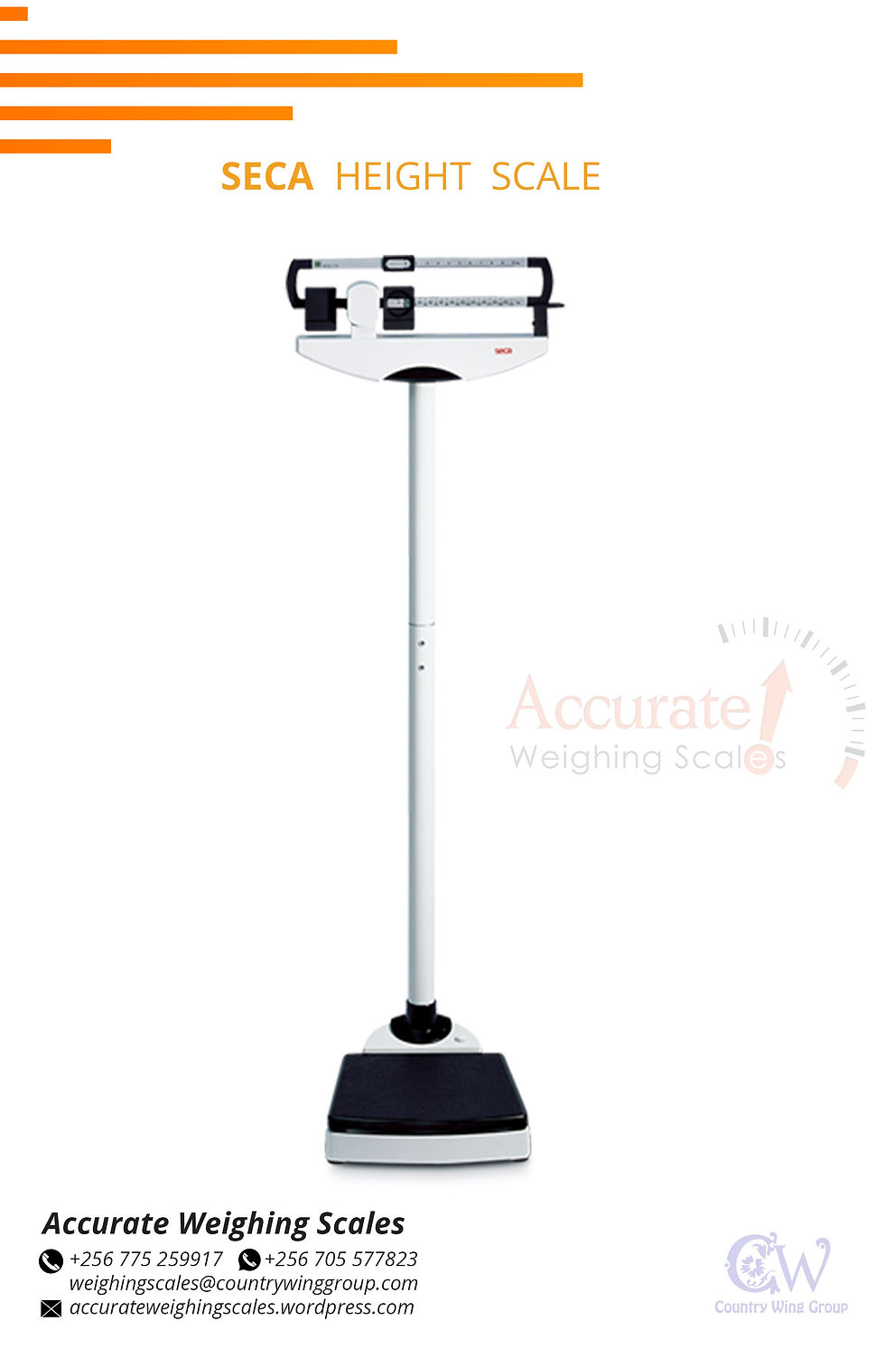 Seca Height Scale 10 jpg.jpg