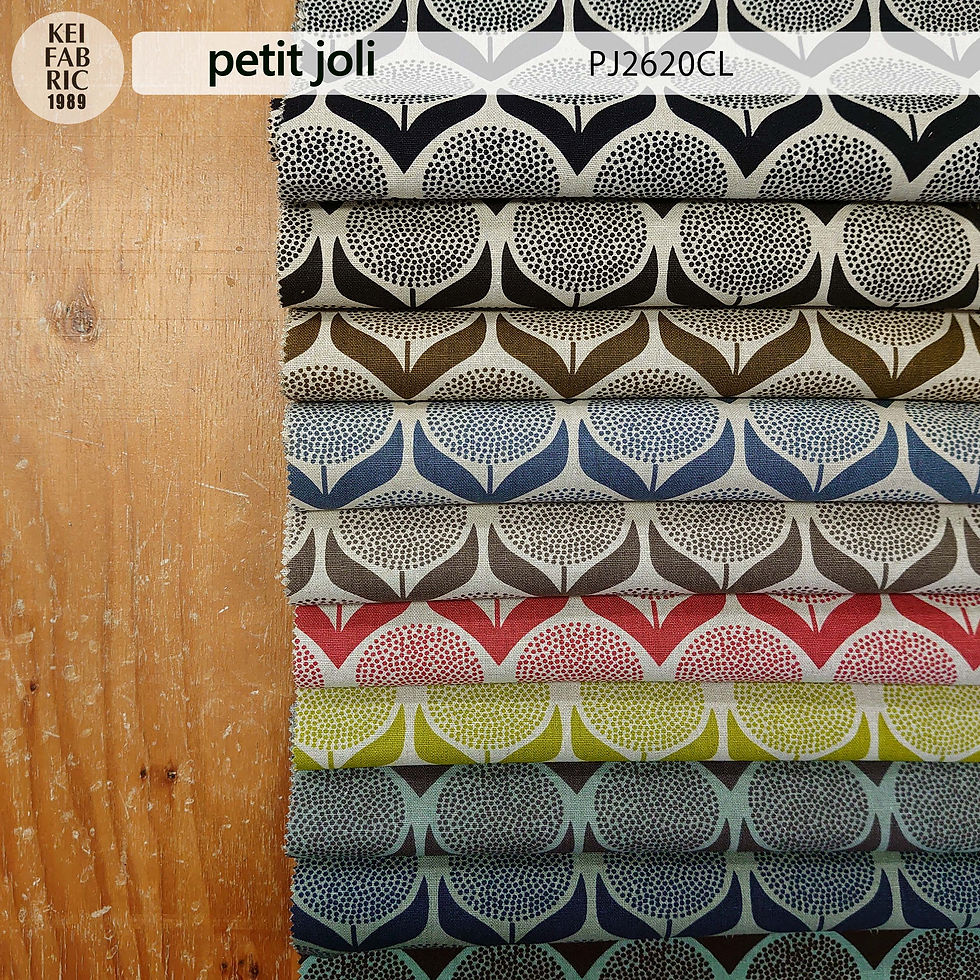 サムネイル： PJ2620CL (10col) PETIT JOLI