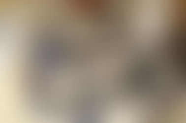 PII Mexico Incubator - Incubadores del PII en Mexico