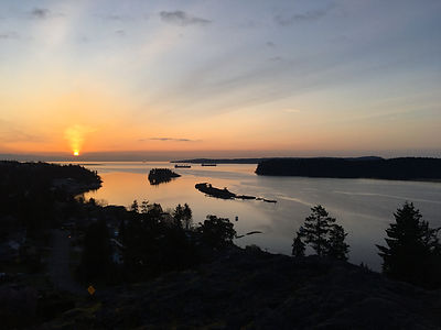 5218419C-CB18-4472-8101-77EB30196DB8 (1).jpg