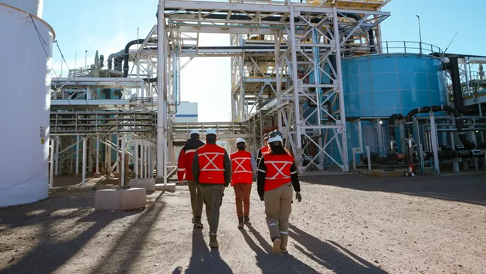 Salta: Refuerzan controles ambientales en proyectos de litio de la Puna