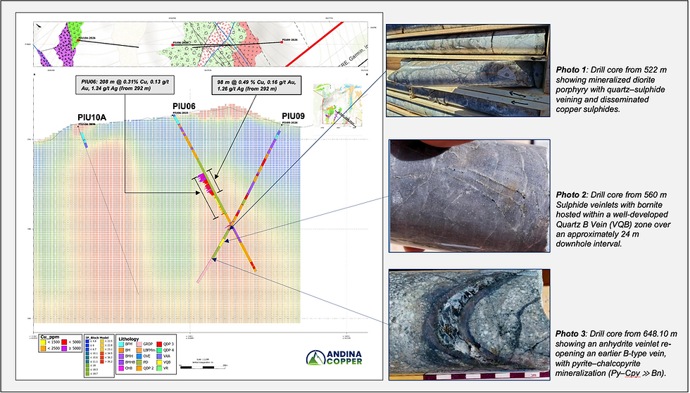 Pozos identificados en proyecto Piuquenes.