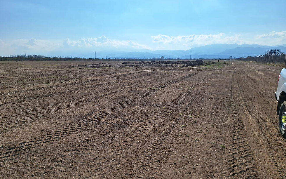 Predio donde se realizará Parque Solar Calicanto.