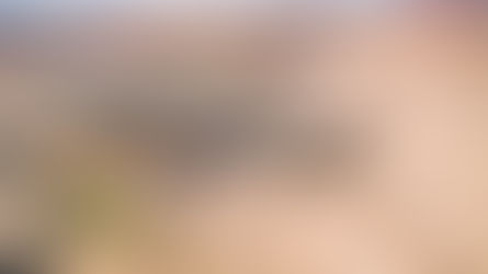 Antofagasta Minerals aprueba inversión para expandir Minera Centinela