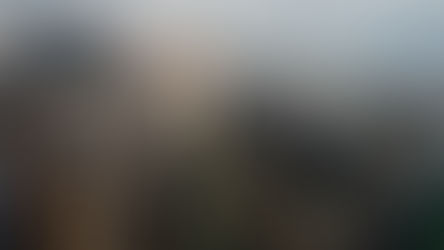 Chile: Codelco compensa sus emisiones de División Ventanas