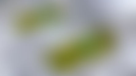 Perú: Milicic consolida proyección internacional en PDAC y avanza con proyecto clave