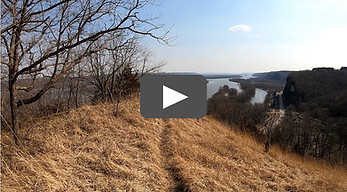 thumbnail for landscape of families website.jpg