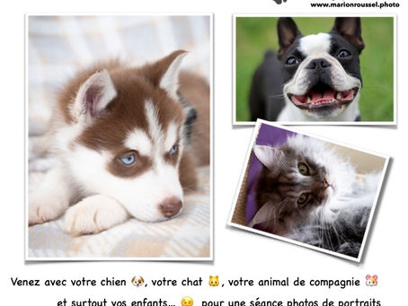 📸 Animation Photos - Jardiland Flins sur Seine