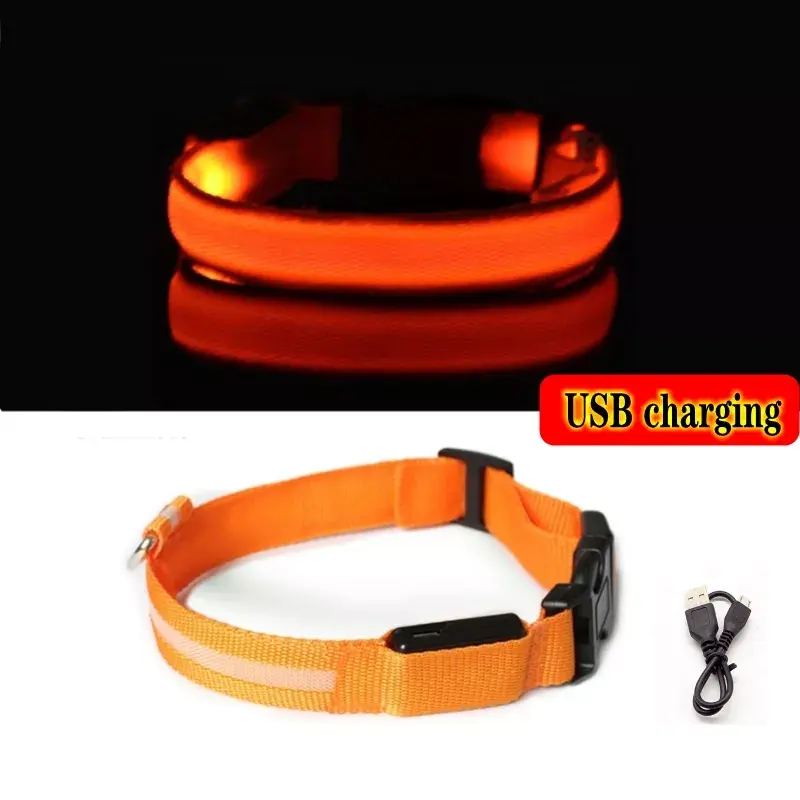 Miniature : Collier lumineux LED pour chien - chargement USB/batterie