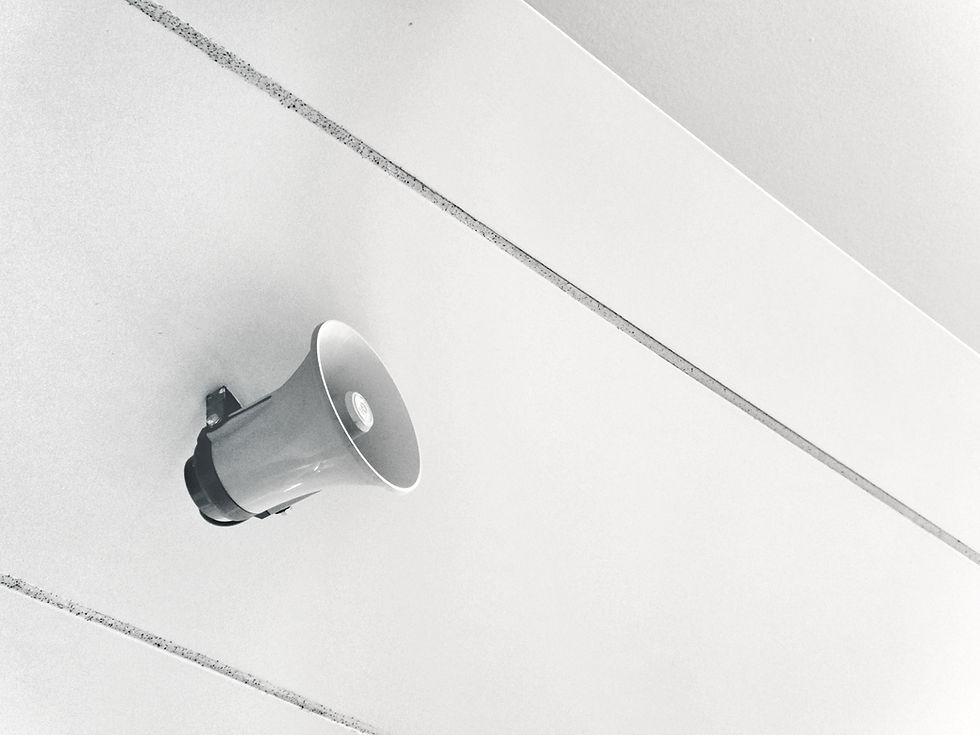 horn speaker with high quality sound