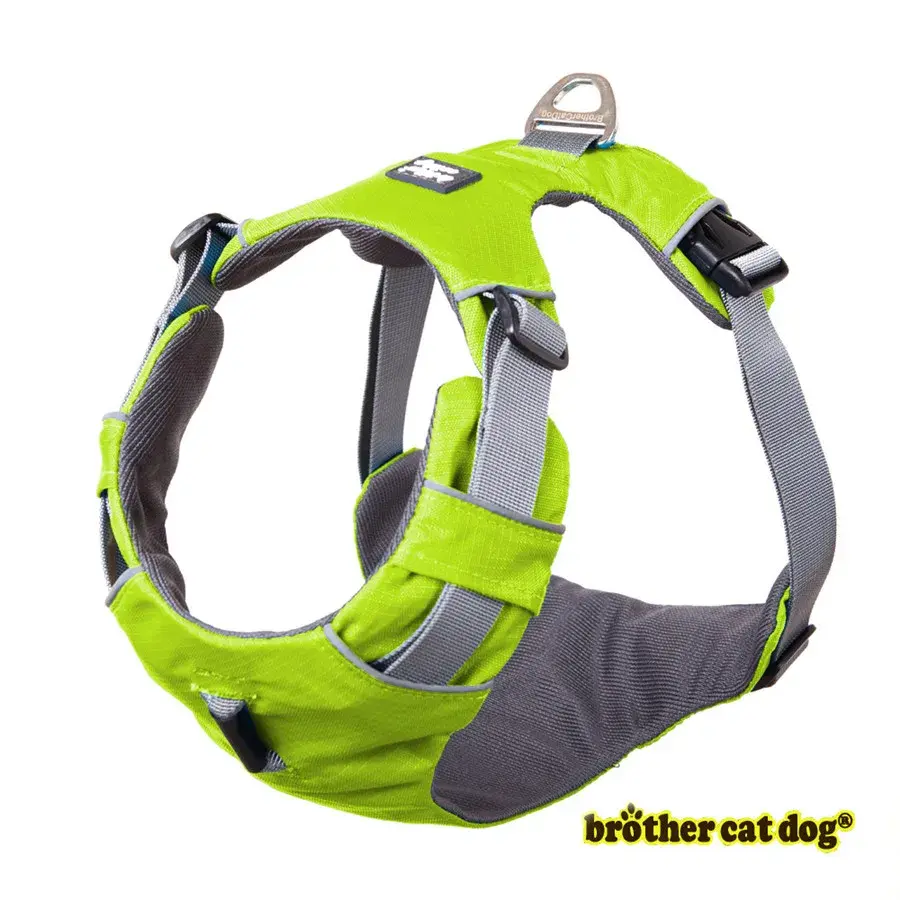 Miniature : Harnais réfléchissant pour chien harnais d'extérieur réglable