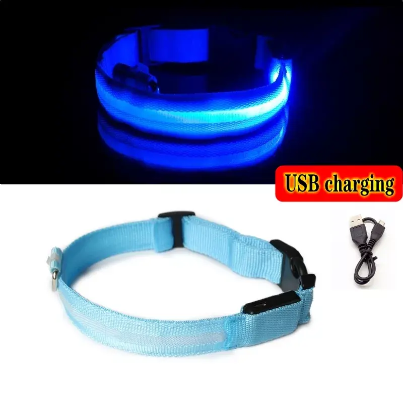 Miniature : Collier lumineux LED pour chien - chargement USB/batterie