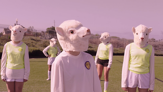 Captura de pantalla 2025-07-13 a la(s) 5.09.44 p.m..png