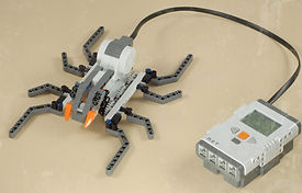 Spider_edited.jpg