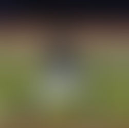 Joya de Esteban Bloch y Guerreros gana a Leones